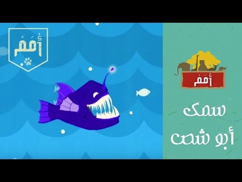  أمم سمك أبو شص