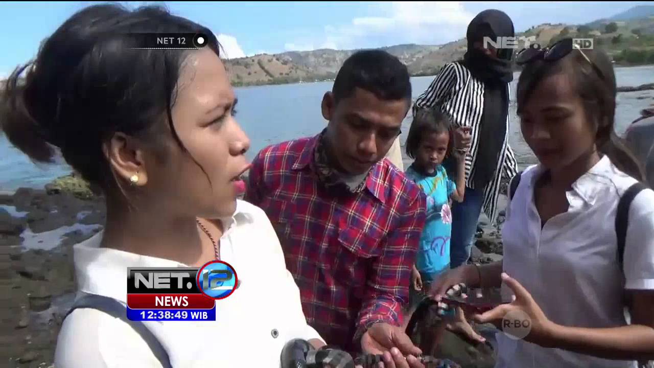 Menikmati Keindahan Wisata Pulau Ular di NTB - NET12