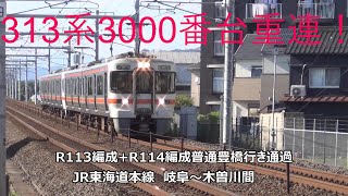 313系3000番台重連！R113編成+R114編成普通豊橋行き通過　JR東海道本線　岐阜～木曽川間