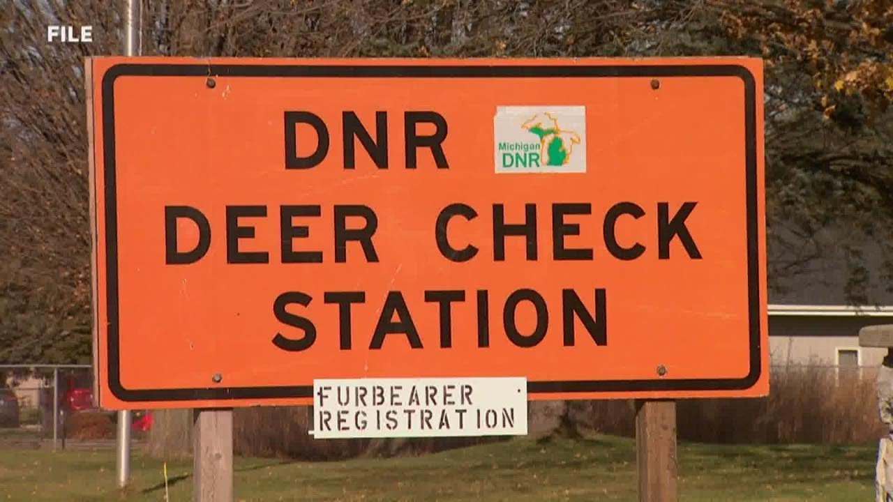 Bow Hunting Season: Deer checks, CWD testing changes due to DNR budget ...