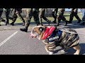 Reuben the Bulldog: The Veteran's Day Parade