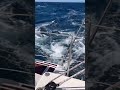 Sailing Costa Rica Sneek Peek рџ Ёрџ Puravida Boatlife Sailingaroundtheworld Wanderlust Sailing Costa Rica Sneek Peek рџ Ёрџ Puravida Boatlife Sailingaroundtheworld Wanderlust