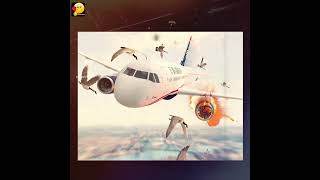 பறவைகள் மோதி engine ல் தீ பிடித்தது | flight landing on hudson river tamil#facts#shorts