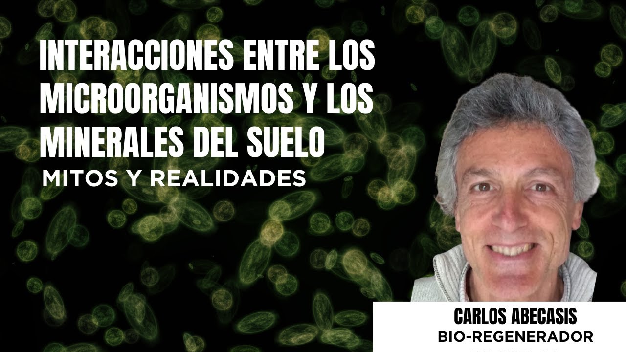 Interacciones entre los microorganismos y los minerales del suelo