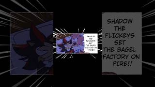 Never A Dull Moment Between Amy And Shadow