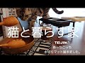 【猫と暮らす家】TEIJINのあっちこっち水切りマットやっと届いた。