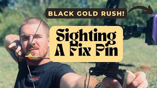 Black Gold Rush for ASA Mens Pin 30 Sight SetUp!