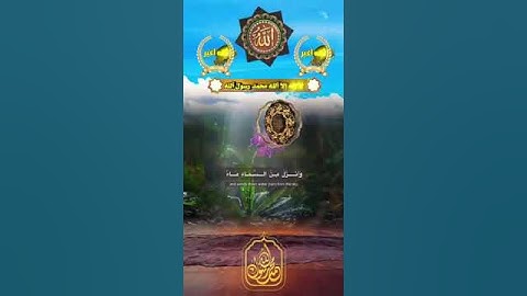 عبدالله الموسى تلاوة قرآن رائعة ستوري #حالات #اكسبلور #ksa #tiktok #تيك_توك #uae #quran #لايك #ترند