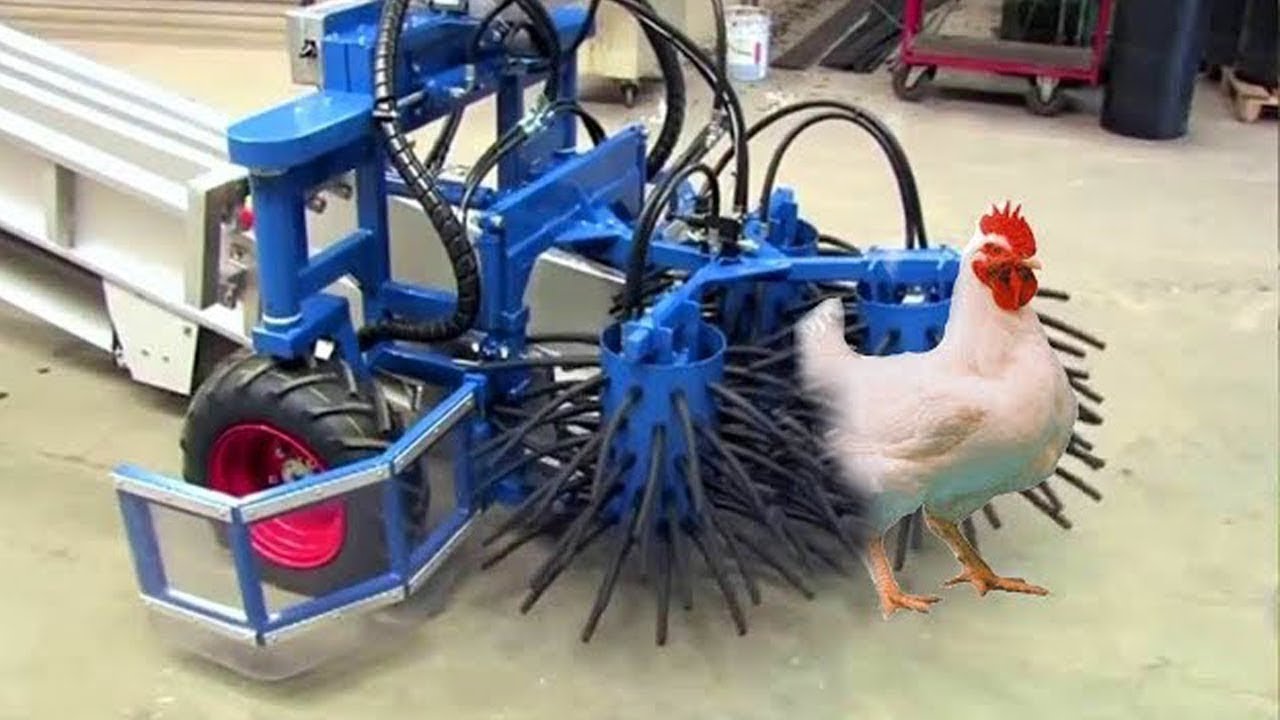 Amazing ! Modern Chicken Farming Technology - Poultry Harvest & Cleaning System - Chicken ....
