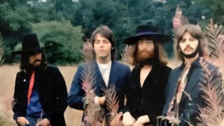 Beware Of Darkness - A 1970 Solo Beatles Fan Album