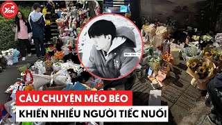 Câu chuyện Mèo Béo Trung Quốc: Nhiều người đem hoa, đồ ăn đến chân cầu để viếng