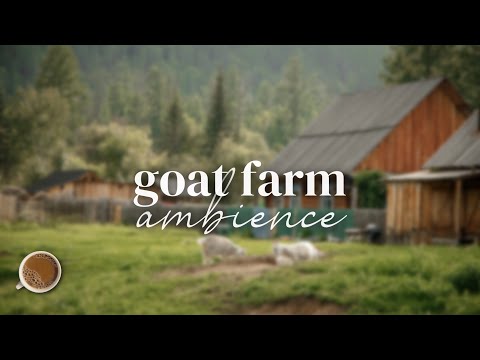 Cozy Goat Farm ASMR Ambience 🐐🌲☀️