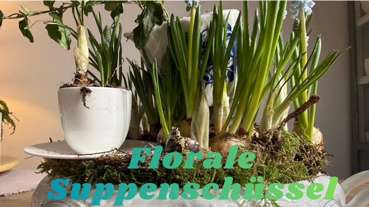 DIY Florale Suppenschüssel 💚 Hyazinthen fein in Schale gesetzt 💚