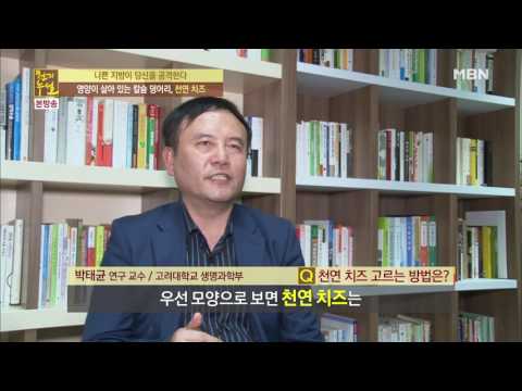 뼈 건강을 지키는 치즈, 똑똑하게 고르는 방법은?