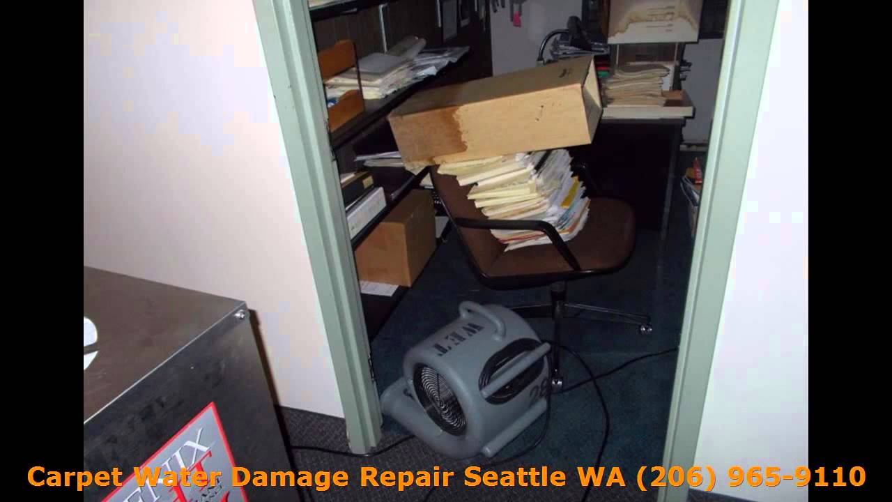 Carpet Water Damage Repair Seattle WA (206) 965-9110 Carpet Water Damage Repair 98112