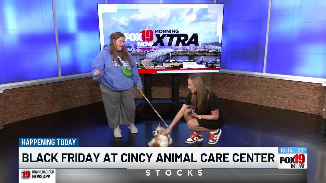 Cincinnati Animal Care offering .99 cent adoption fees on Black Friday