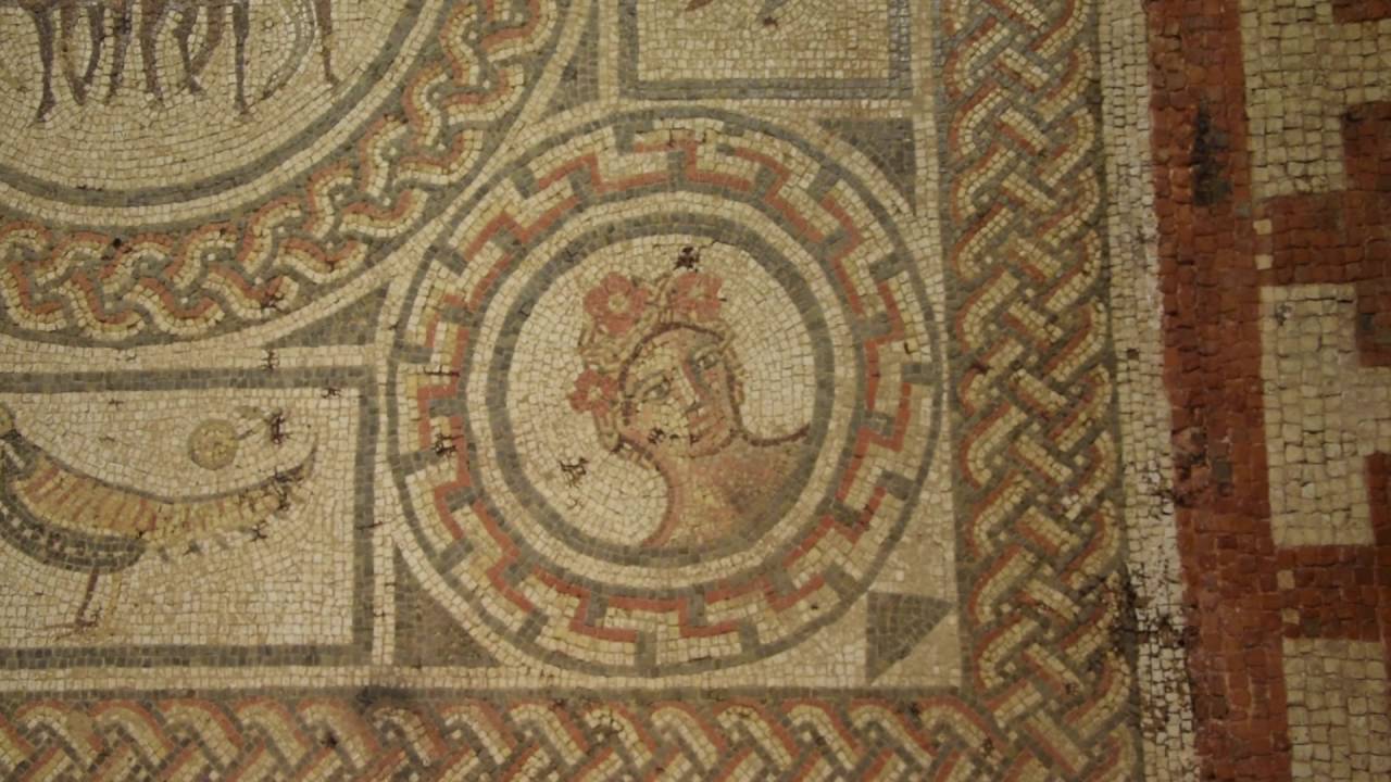 A swallow on the Four Seasons mosaic at the Hull and East Riding Museum