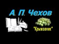 А. П. Чехов &quot;Крыжовник&quot;, аудиокнига. A. P. Chekhov, audiobook