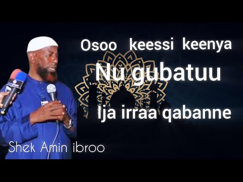 Shek Amin Ibroo Haalli Amma Keessa Jirru Zabana Waan Silaa Dhooysaan Dirretti Baasan Tahe