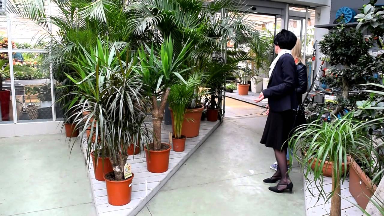 EXPO AGROCOOP RTV TEMA