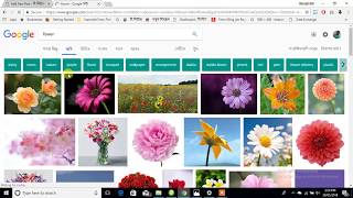 facebook share image not showing in wordpress