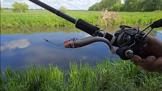 Einfach angeln am Graben Friedfisch Hecht und Barsch was geht heute #fishing #barschangeln #hecht