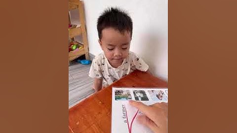 Tiếng Anh Giao Tiếp Thiếu Nhi Tại Phan Thiết: Dolphin talking about Jobs