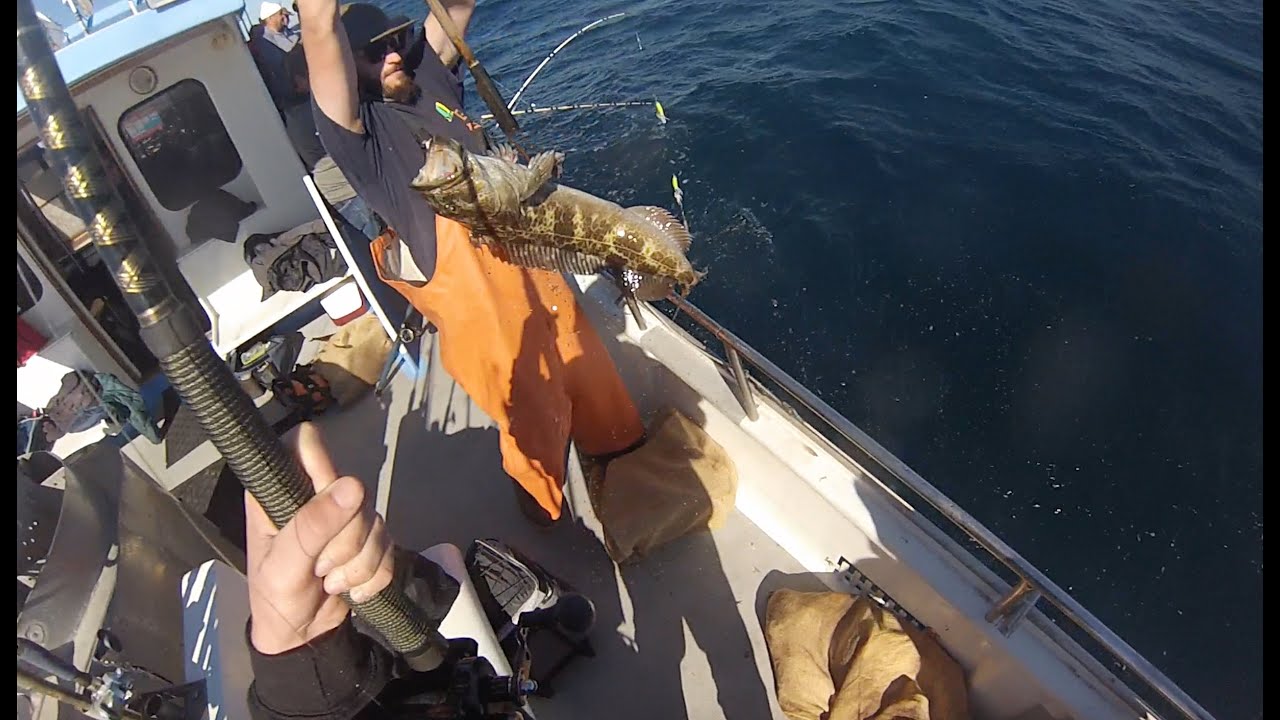 Lingcod Fishing in Big Sur, CA 11/15/15 YouTube