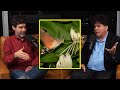 Bret Weinstein - The Greatest Prediction in Evolutionary Theory | Eric Weinstein