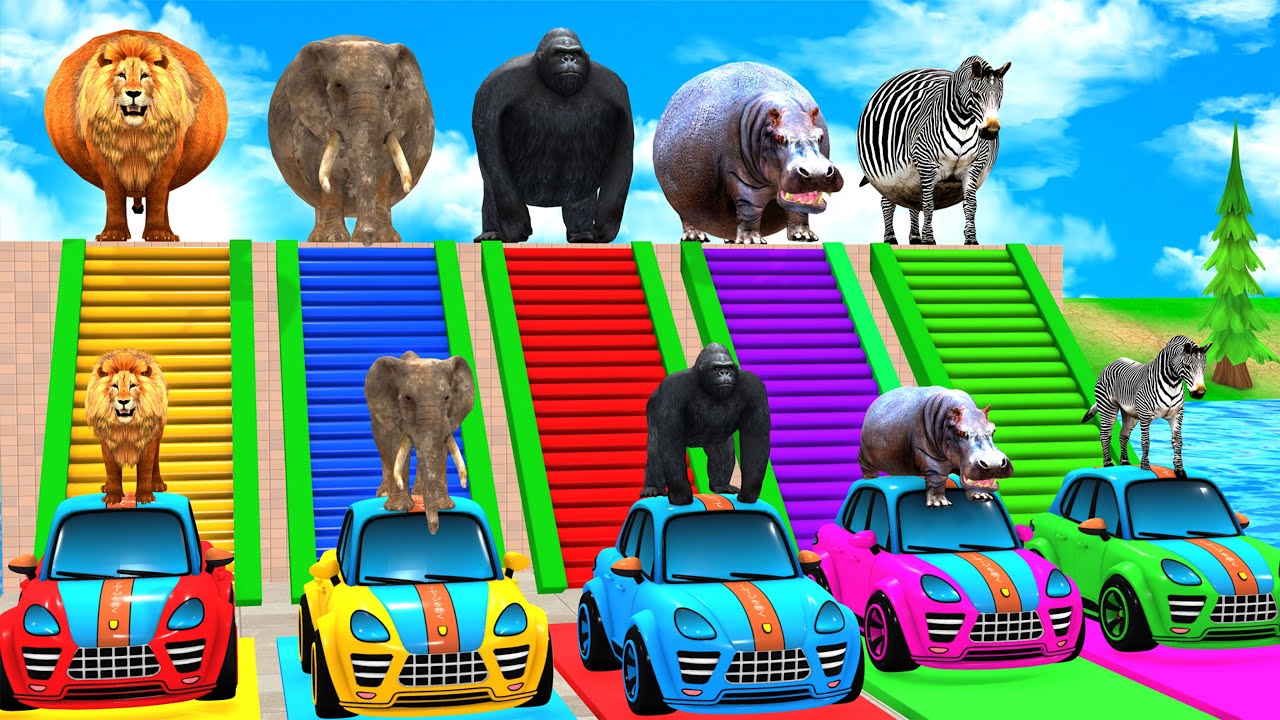 Massive Long Slide with Zoo Animals 🐘🦍 - 3D Animal Gameplay
