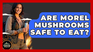 Are Morel Mushrooms Safe To Eat? - Exploring Campgrounds