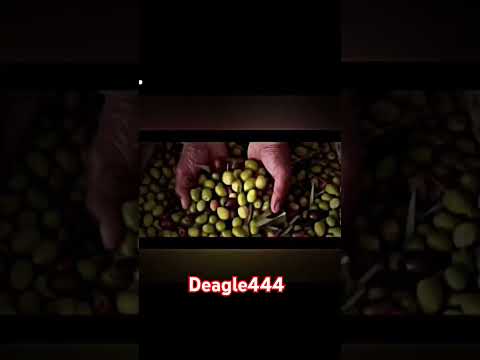 زيت زيتون واد سوس 