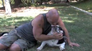 Todd Howard Bigbulldogs