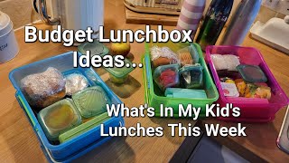 Budget School Lunches | What's In My Children's Lunch | Lunchbox Ideas | Busy Mum Life