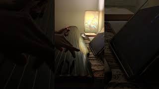 Guqin: Ancient Chinese Serenity