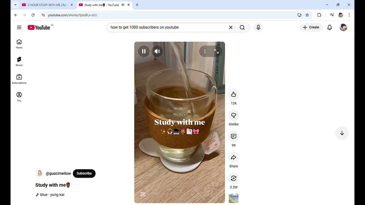 Study with me🌹   YouTube   Google Chrome 2026 01 04 13 26 28
