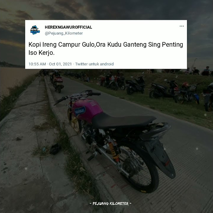 STORY WA HEREX 30 DETIK||LITERASI HEREX TERBARU||STORY WA KEKINIAN 2021