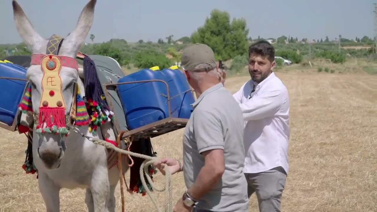 Programa Todocaballo dedicado al Burro Andaluz en la Reserva Funcional del Asno Andaluz