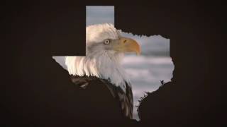 Texas Map Kit After Effects Template Project