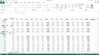 TQC Excel 2019 508 年度財務報表 (有聲錄製)