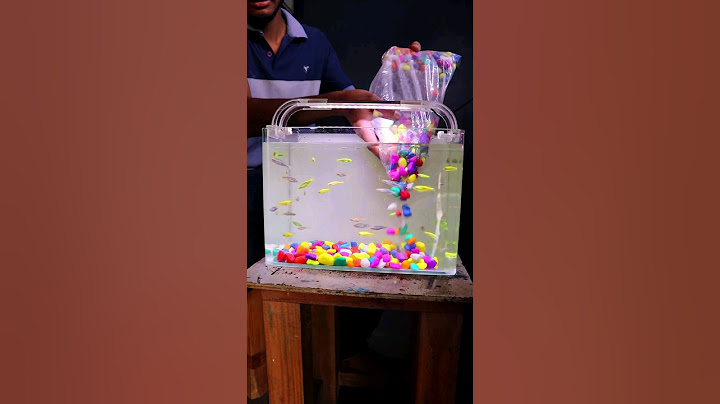 இந்த தப்பு மட்டும் பண்ணாதீங்க 🤔 #cloningaqua #fish #aquarium #fishaquarium #exoticfishes