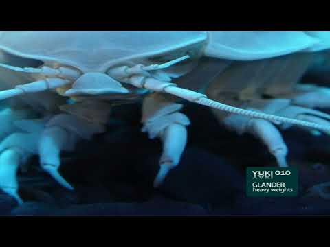 Glander — Glander - He Calls It Heavyweight [Yuki Yaki]