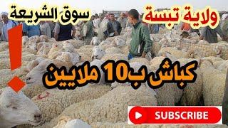 اسعار المواشي سوق الشريعة ولاية تبسة اليوم 04 جوان 2022