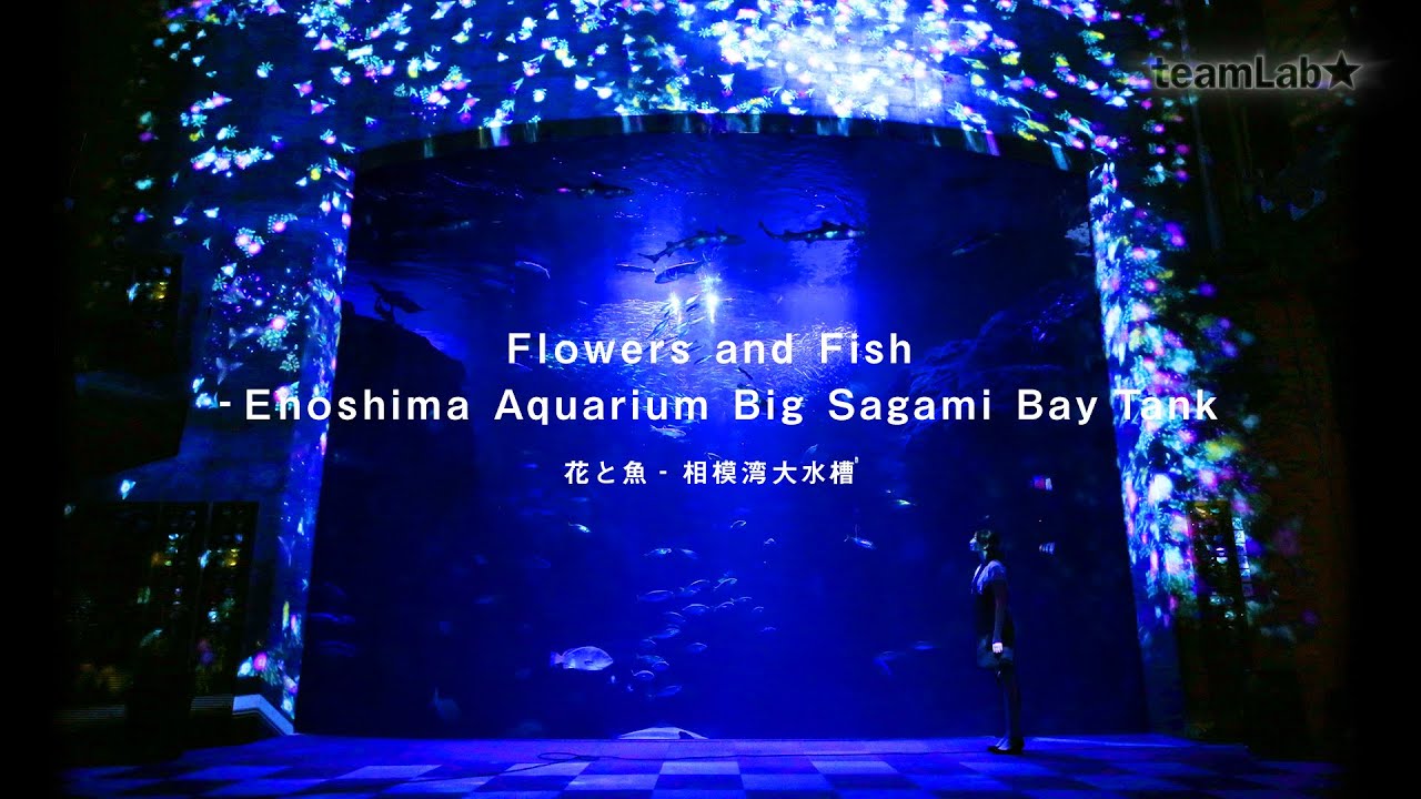 Flowers and Fish- Enoshima Aquarium Big Sagami Bay Tank β.ver / 花