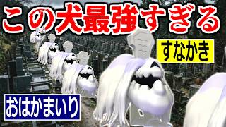 ハカドックとかいう謎の犬の最強特性「すなかき」で上からおはかまいりするだけで勝てます。【ポケモンチャンピオンズ|Pokemon Champions】実況プレイ