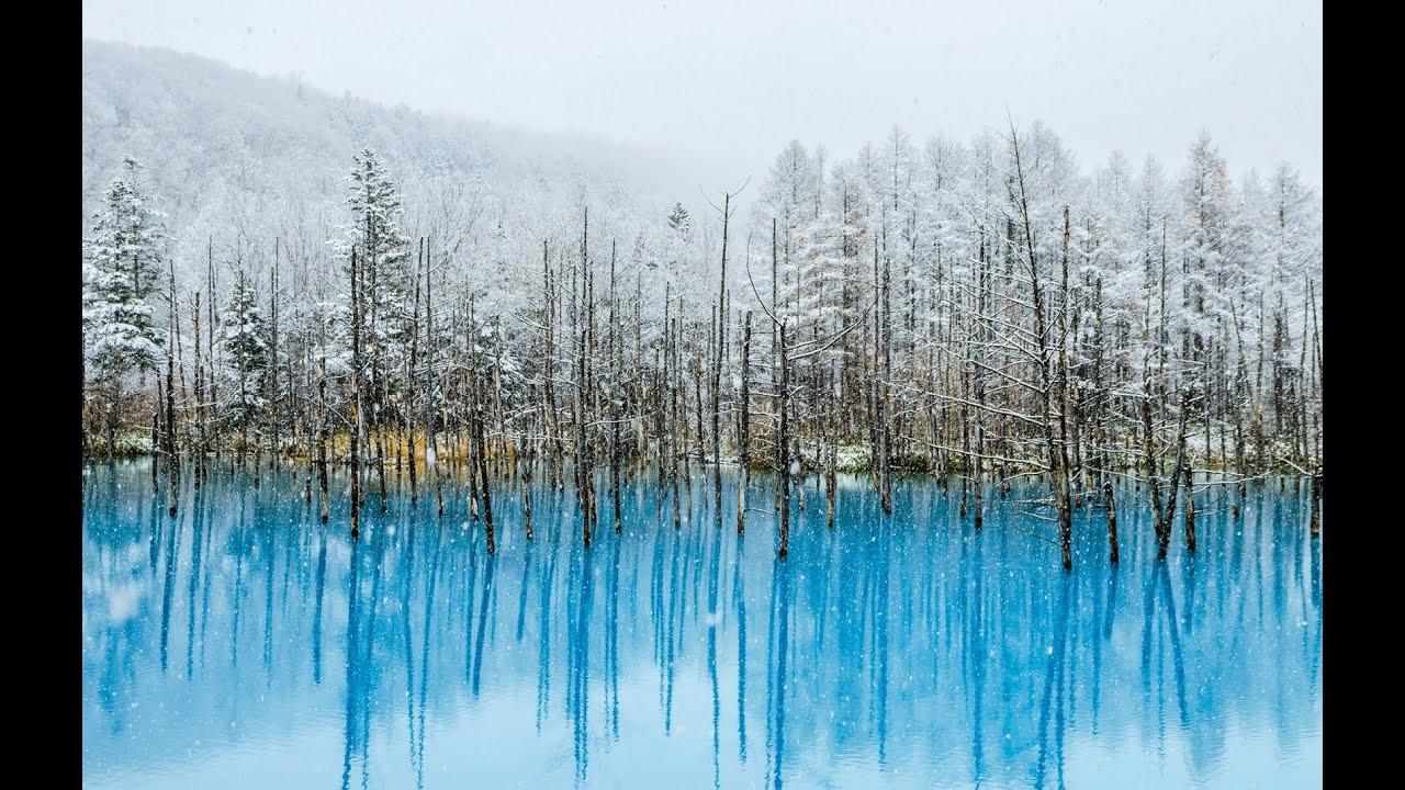 Pure White Snow || Hokkaido || NewYear Destination || Japan