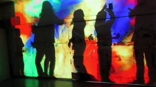 Video thumbnail of "La ploma de perdiu"