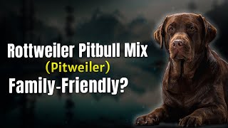 Rottweiler Pitbull Mix Pitweiler – Family Friendly 🐶