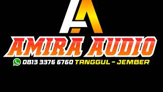 Download Lagu LIVE || TIGA MAJELIS SATU CINTA || MADRASAH DINIYYAH UST SAMHADI JATISARI JEMBER MP3