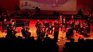The Circle of Life - Concert Orchestra - Dartford Grammar School Christmas Concert 2012